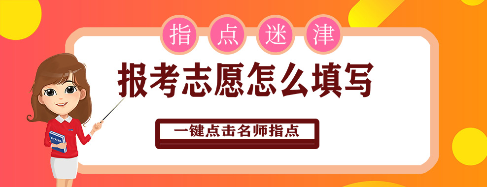 专业填报